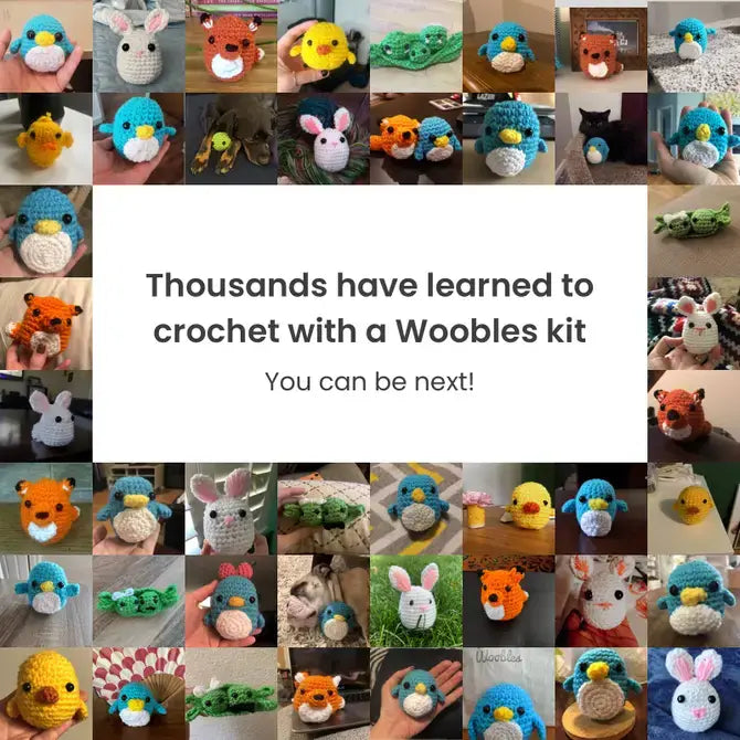 Woobles - Beginner Crochet Kit